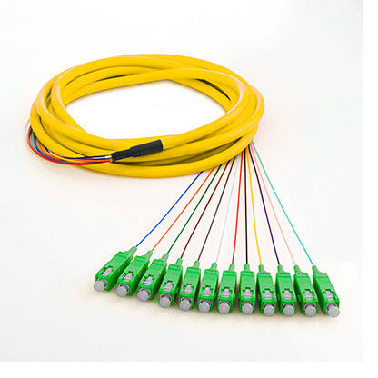 La base de los cables de puente de la fibra óptica del SM SX 0.9m m 12 con aviva hacia fuera el tipo, alta estabilidad de temperatura
