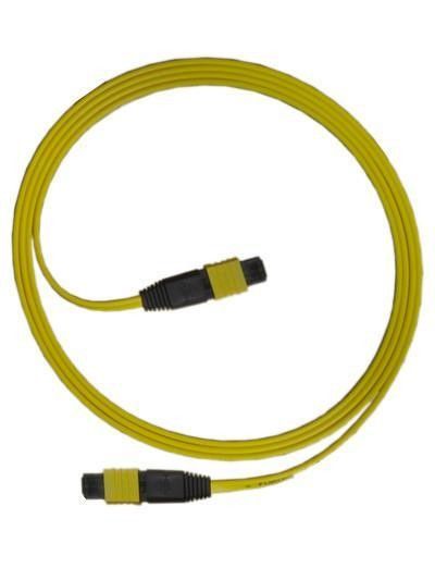El cable de fribra óptica de la base del SM MTP 24 aviva hacia fuera el tipo para CATV/las redes de ordenadores